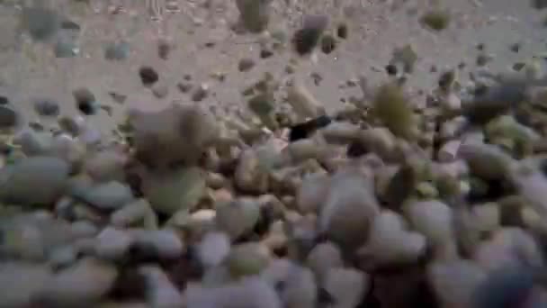 Rocas Marinas Agua Bajo Las Olas — Vídeo de stock