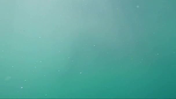 Jambes Dans Eau Mer Enfuir — Video