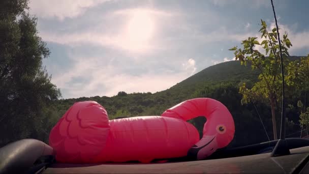 Pink Flamingos Getting Inflated Car — Stock Video