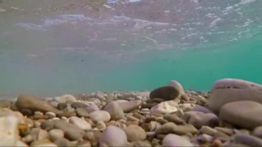 Su altında dalga deniz kaya