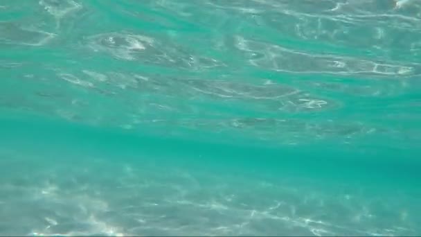 Κύματα Της Θάλασσας Κάτω Άμμο Νερό Καθαρό Νερό Ωκεανού Στη — Αρχείο Βίντεο