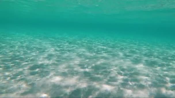 Sea Bottom Sand Waves Water Ocean Sea Clear Water — Stock video