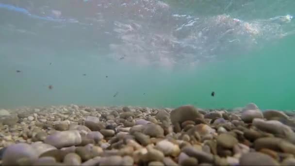 波浪下水中的海岩 — 图库视频影像