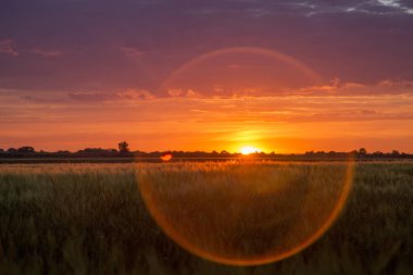 manzara günbatımı alan alan doğa çimen
