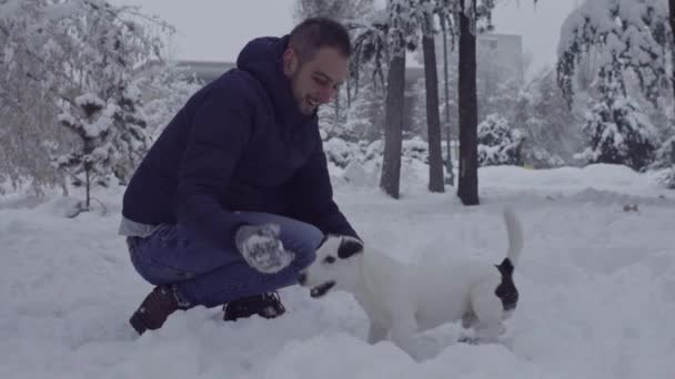 Man Playing Jack Russell Terrier Dog Snow Puppy Happy Cheerful — Stock Video