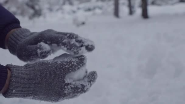 Muž Hraje Jack Russell Teriér Pes Sněhu Štěně Šťastný Veselý — Stock video