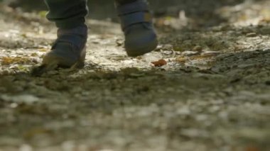 Orman sarı saçlı Genç güneşli günün kutlu ağaçlar balina oyuncak ile oynayan sevimli çocuk 