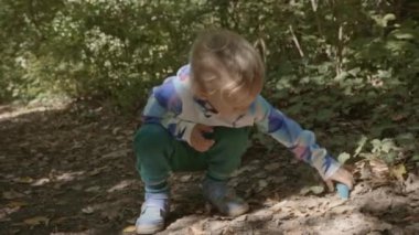 Orman sarı saçlı Genç güneşli günün kutlu ağaçlar balina oyuncak ile oynayan sevimli çocuk 