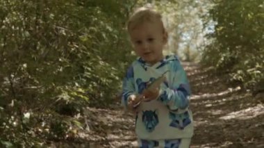 Orman sarı saçlı Genç güneşli günün kutlu ağaçlar balina oyuncak ile oynayan sevimli çocuk 