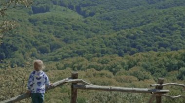 Şirin çocuk mutlu gülümseyen panorama yeşil ağaçlar çok uzak ormandaki çitin üzerinden sallayarak