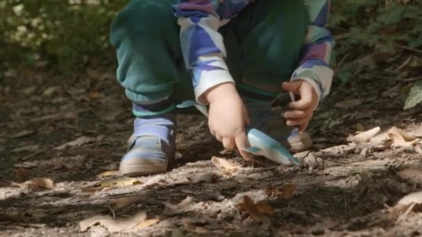 可爱的孩子玩鲸鱼玩具在森林金发快乐年轻阳光明媚的天树 — 图库视频影像