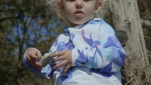 かわいい子供は金髪幸せな若い晴れた日樹木の鯨のおもちゃで遊ぶ — ストック動画
