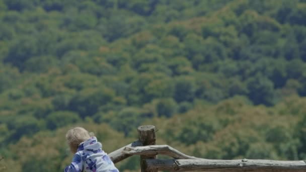 Şirin Çocuk Mutlu Gülümseyen Panorama Yeşil Ağaçlar Çok Uzak Ormandaki — Stok video