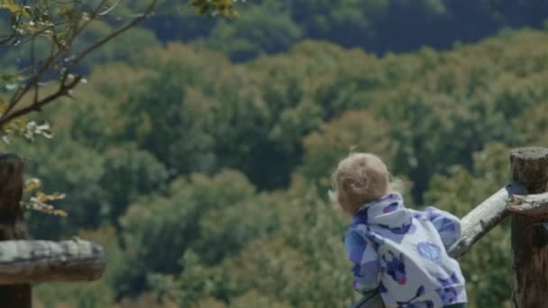 Söta Unge Vinka Från Staket Skogen Glada Leende Panorama Gröna — Stockvideo