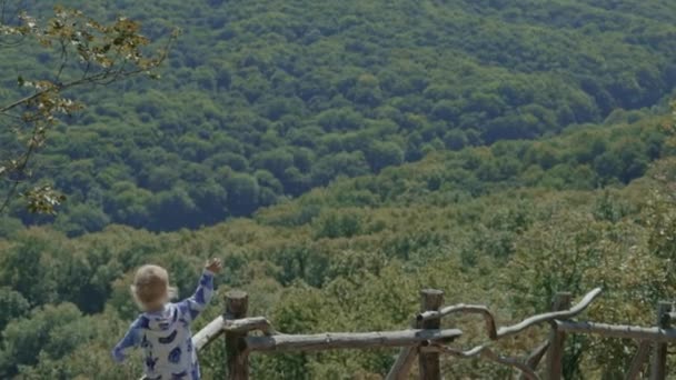 Schattige Jongen Zwaaien Van Hek Bos Gelukkig Lachend Panorama Groene — Stockvideo