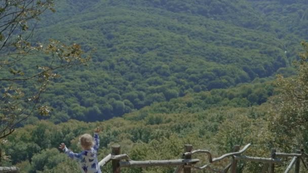 Lindo Niño Saludando Desde Cerca Bosque Feliz Sonriente Panorama Árboles — Vídeo de stock