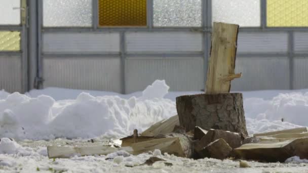 雪の庭冬村スローモーションで薪割り人 — ストック動画