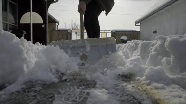 Homme Nettoyage Pelletage Neige Fraîche Dans Cour — Video