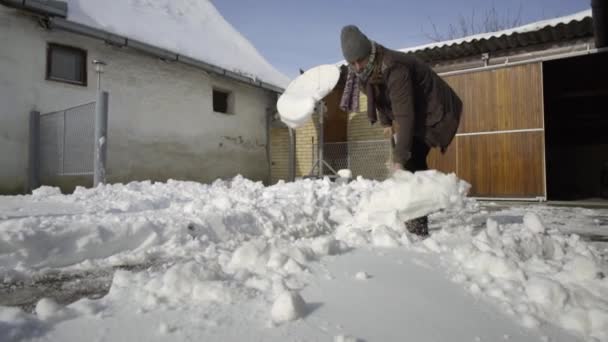 人の庭で新鮮な雪をシャベルをクリーニング — ストック動画