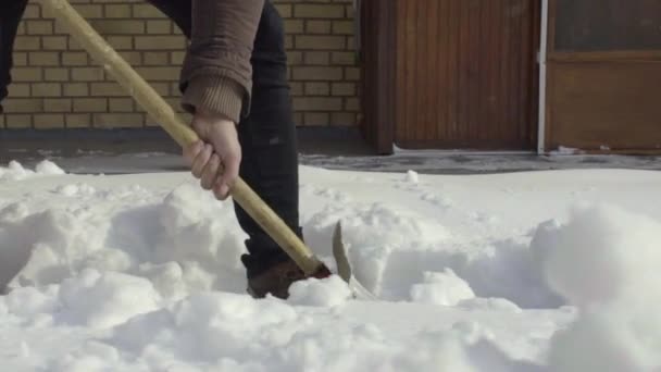 Man Cleaning Shovelling Fresh Snow Yard Slow Motion — Stock Video