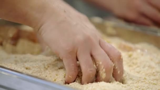Kuřecí Prsa Připravovat Chléb Crumb Vejci — Stock video