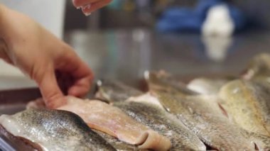 kesme ve profesyonel mutfak hazırlanıyor balık 