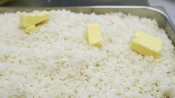 Arroz Cozido Prato Profissional — Vídeo de Stock