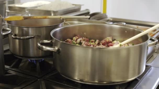 Приготування Гуляш Професійній Кухні — стокове відео