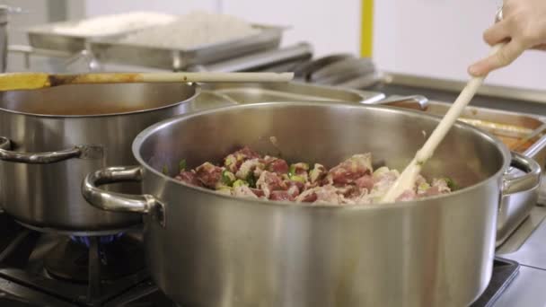 Gulasch Kochen Der Professionellen Küche — Stockvideo