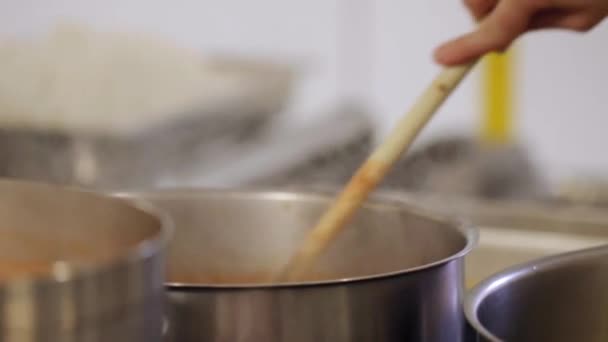 Кухарі Зайнятій Професійній Кухні Готують Їжу — стокове відео