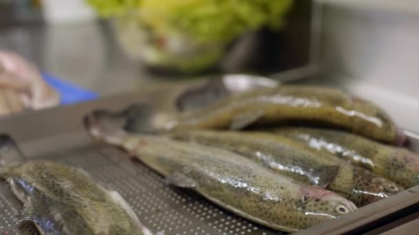 Резка Рыбы Подготовка Профессиональной Кухни — стоковое видео