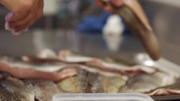 Vis Snijden Voorbereiden Van Professionele Keuken — Stockvideo