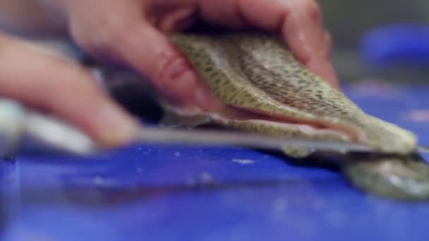 Corte Preparación Pescado Cocina Profesional — Vídeo de stock
