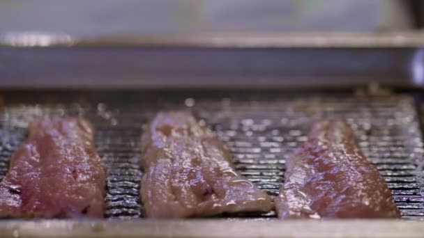 Fish Grilled Professional Grill — Stock Video