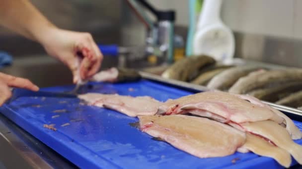 Corte Peixe Preparação Cozinha Profissional — Vídeo de Stock