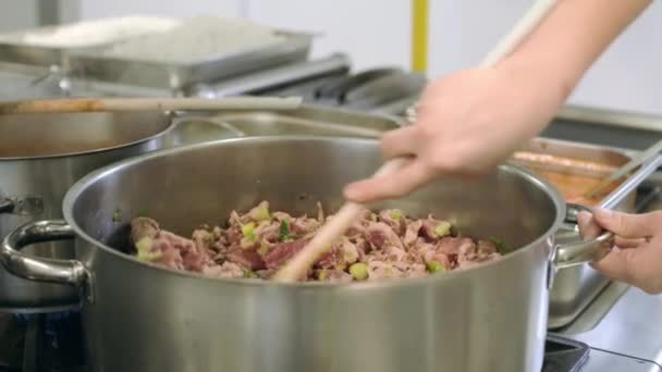 Cuisson Goulash Dans Cuisine Professionnelle — Video