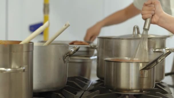 Koks Drukke Professionele Keuken Koken Maaltijd — Stockvideo