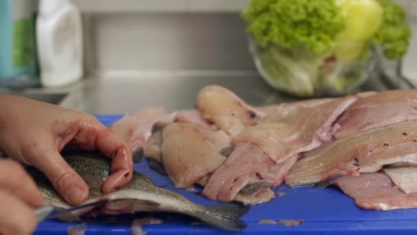 Corte Peixe Preparação Cozinha Profissional — Vídeo de Stock