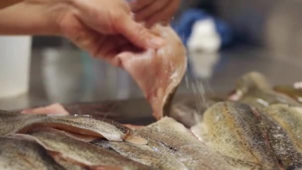 Pesce Taglio Preparazione Cucina Professionale — Video Stock