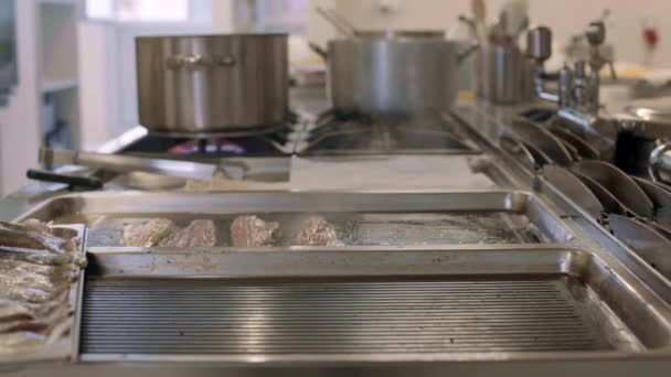 在专业烤架上烤的鱼 — 图库视频影像