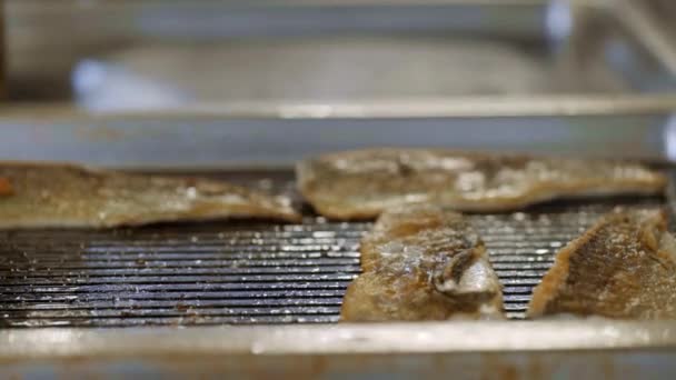 Ryba Grilla Profesjonalny Grill — Wideo stockowe
