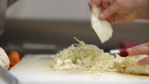 Preparation Cabbage Kitchen Chef Cutting — Stock Video
