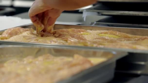 Peito Frango Preparando Migalhas Pão Ovos — Vídeo de Stock