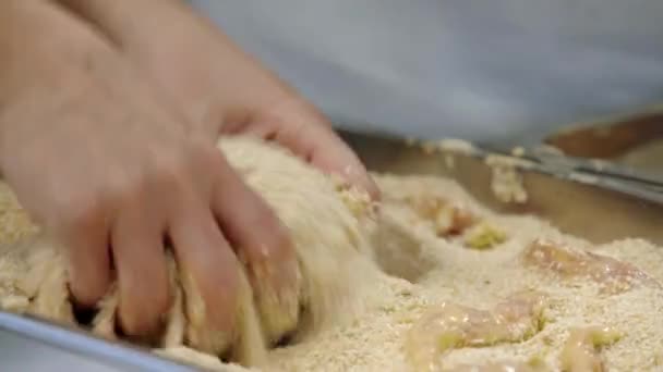 Pechuga Pollo Preparándose Miga Pan Huevos — Vídeos de Stock