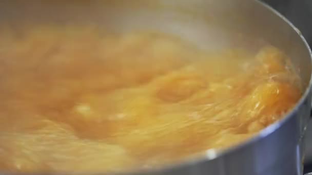 Memasak Goulash Dapur Profesional — Stok Video