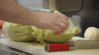 lahana mutfak Şef kesme hazırlanması 