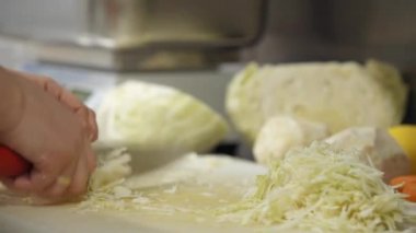 lahana mutfak Şef kesme hazırlanması 