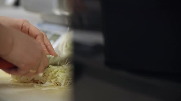 Preparación Repollo Cocina Chef Corte — Vídeos de Stock