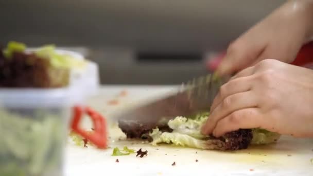 Voorbereiding Van Sla Keuken Chef Snijden — Stockvideo