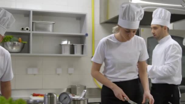 Cocineros Ocupados Chef Cocina Consultando Con Tableta — Vídeo de stock